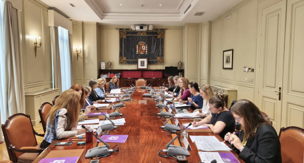 55ª Reunión Instituciones del Observatorio contra la Violencia Doméstica y de Género